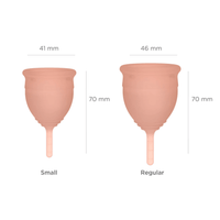 Saalt Soft Menstrual Cup - Best Sensitive Reusable Period Cup - Wear for 12  Hours - Tampon and Pad Alternative (Regular Grey, Small Desert Blush