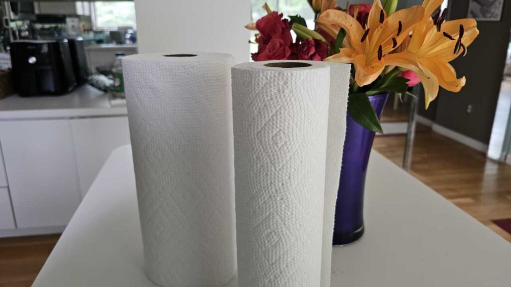 paper towels on counter