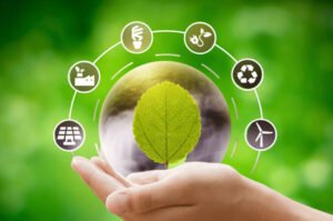 Sustainable Living Made Simple: Eco-Friendly Products & Green Lifestyle Inspiration
