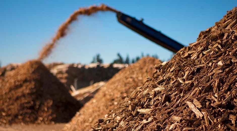 From Feedstock to Power: The Biomass Energy Chain