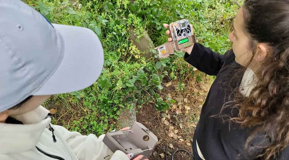 Backyard-Biologist-How-Security-Cameras-Reveal-Urban-Wildlife-in-Action