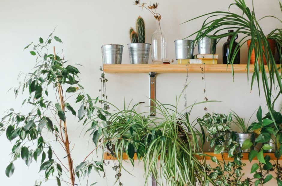 How Sustainable Living Can Start with Small Home Changes for a Greener Future