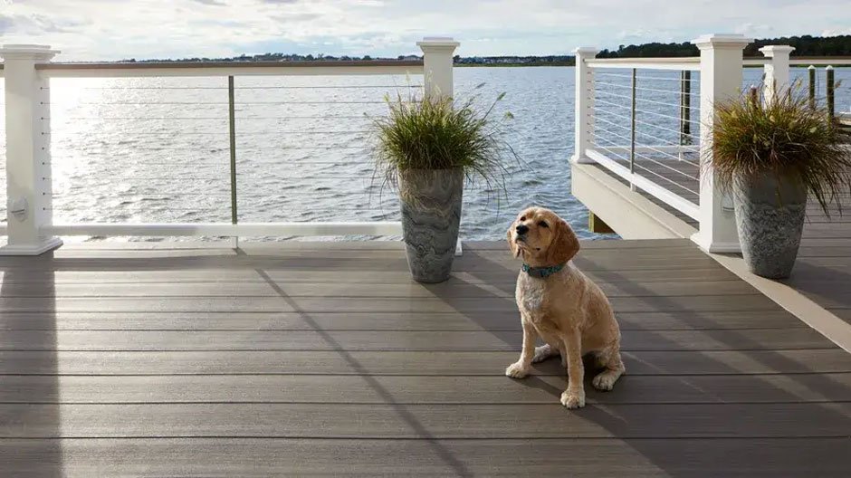 Pet-Friendly Deck Design Ideas Every Dog Owner Will Love
