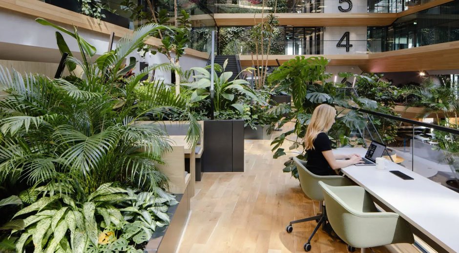 Sustainable Office Fitouts: Designing Workspaces That Work for People and the Planet