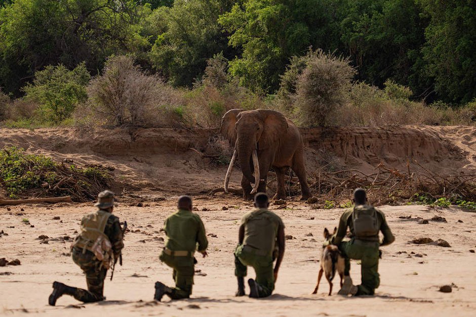 The Poacher Deterrence Kit Any Ranch Can Deploy
