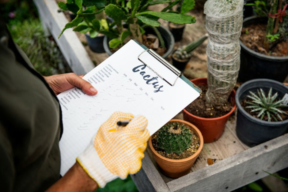 Your Monthly Pest Prevention Checklist (That Takes Under 30 Minutes)