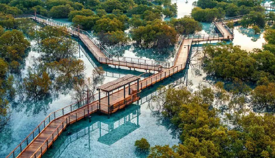 How Jubail Mangrove Park Protects Abu Dhabi’s Natural Heritage