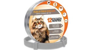 Looking for Long Lasting Flea Collars for Cats? Essential Tips for Effective Protection