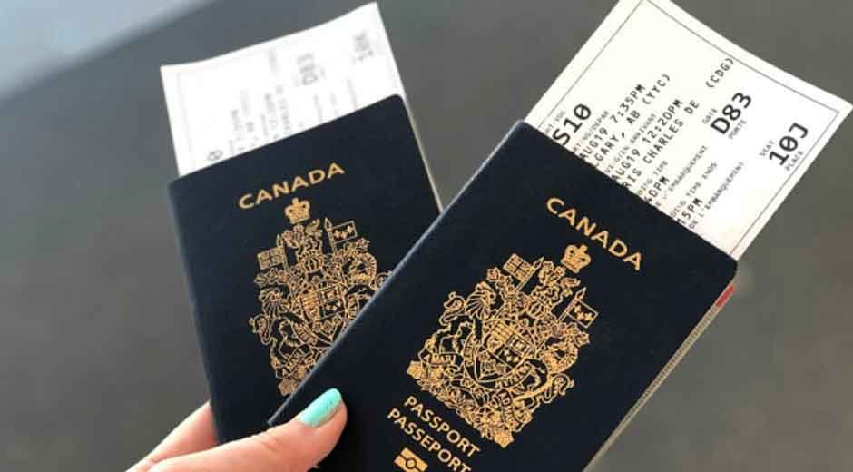 Why Professional Help Could Be the Secret to a Stress-Free Partner Visa Approval