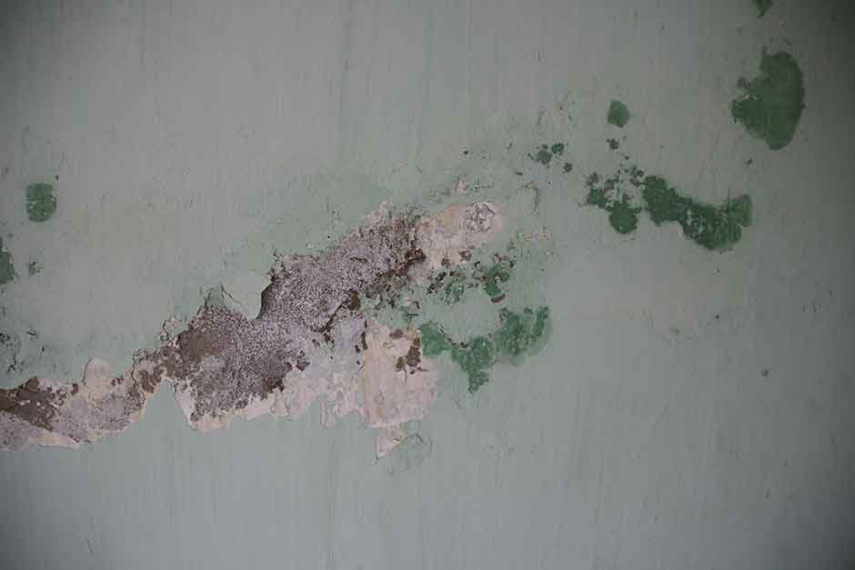 What Are the Signs of Damp and How Can You Treat Them Effectively?