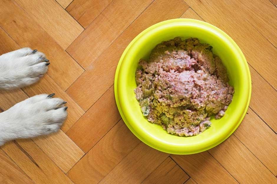10 Most Recommended Pet Foods for All Life Stages