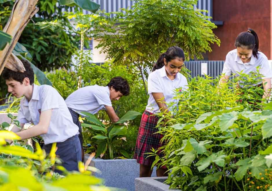3 Green Innovations Reshaping Barber Schools - and How Students Can Benefit