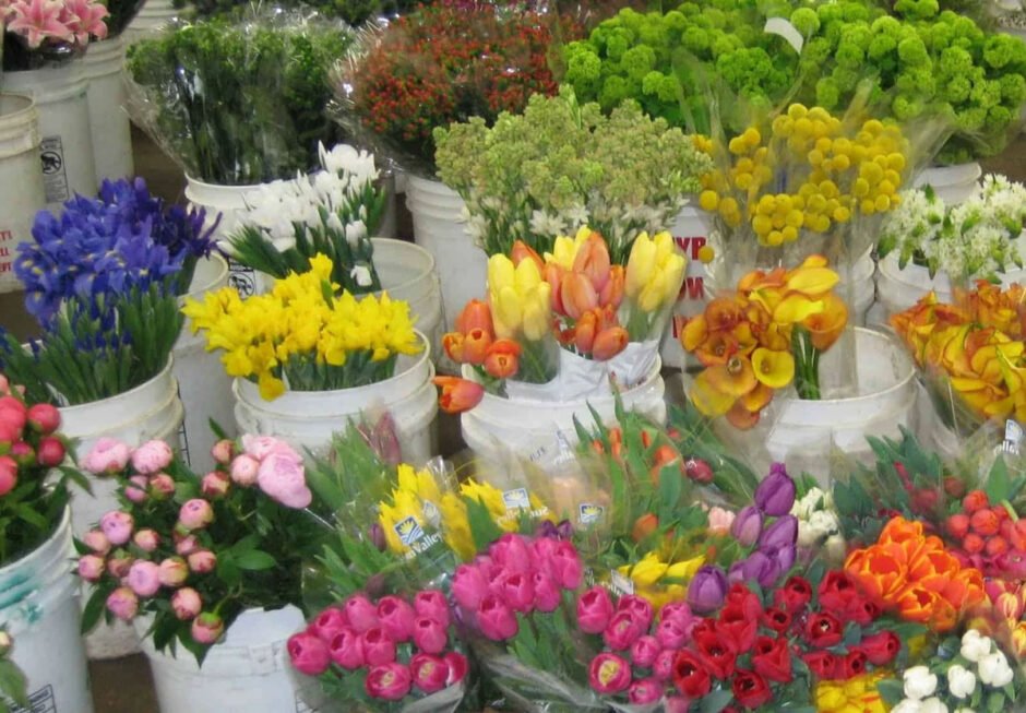 A Florist’s Guide to Choosing the Right Wholesale Partner