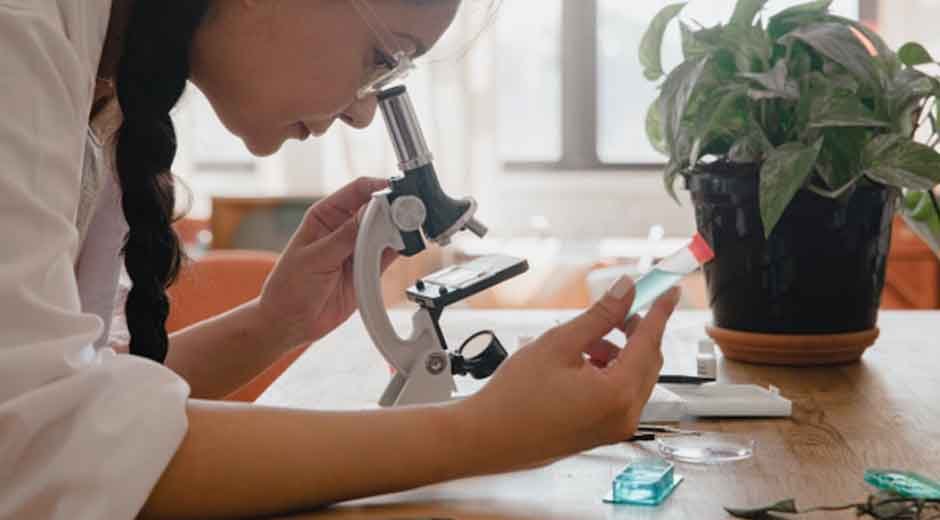 Are Stem Cells the Key to Living Longer and Healthier?