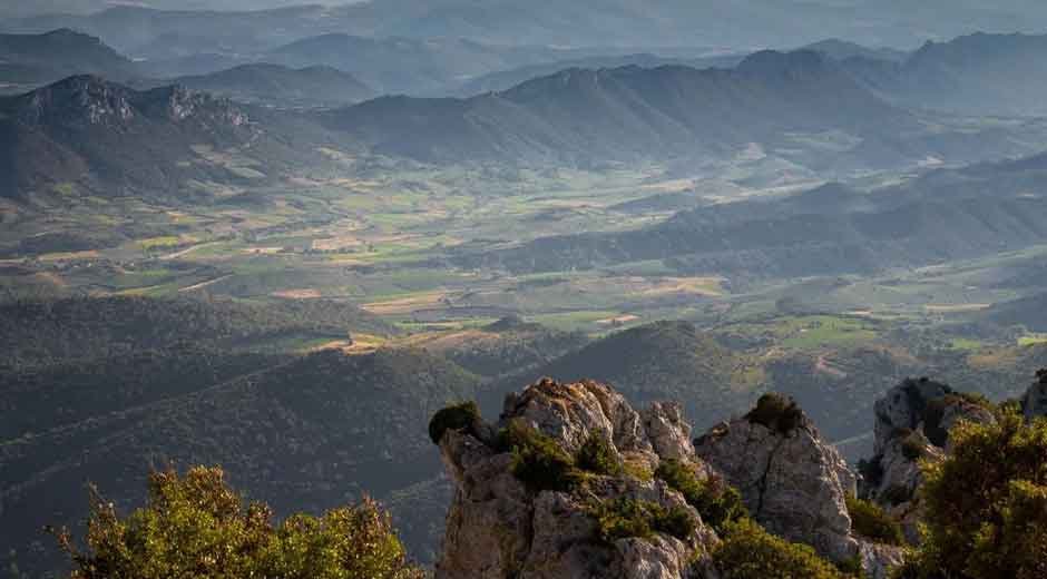 Finding Harmony Between Modern Life and Natural Wellness