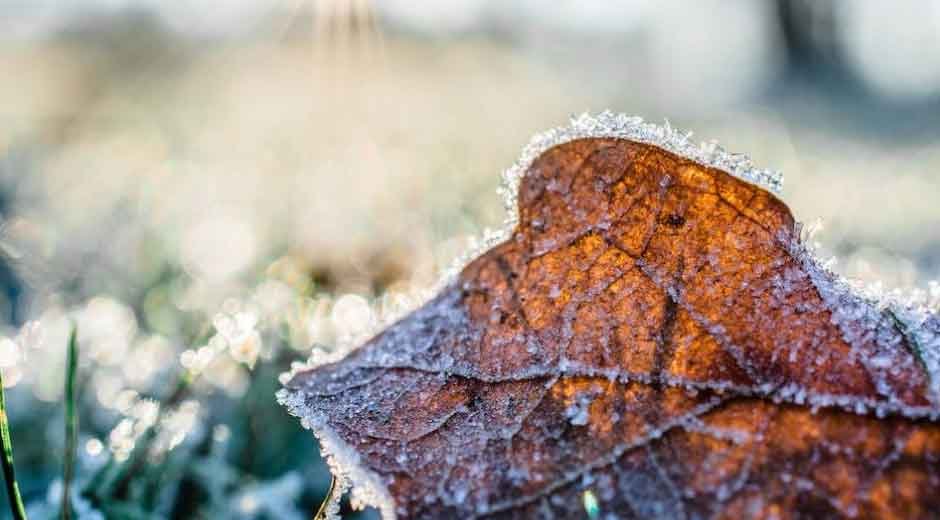 Frost-Proof-Your-Life-Must-Do-Preparations-for-Winter