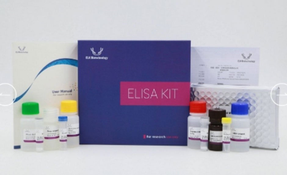 How ELISA Kits Help Scientists Detect Proteins, Antibodies, And Antigens Accurately