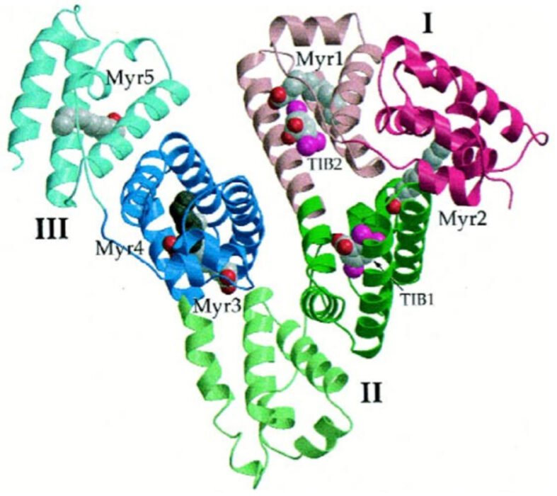 How ELISA Kits Help Scientists Detect Proteins, Antibodies, And Antigens Accurately