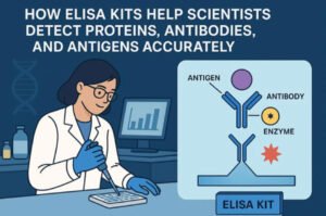 How ELISA Kits Help Scientists Detect Proteins, Antibodies, And Antigens Accurately