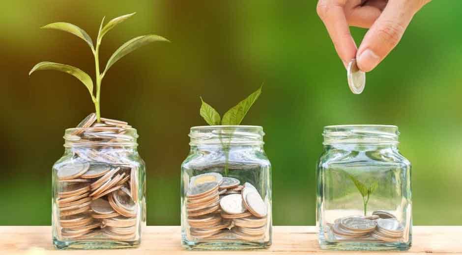 How to Save on Eco-Friendly Living