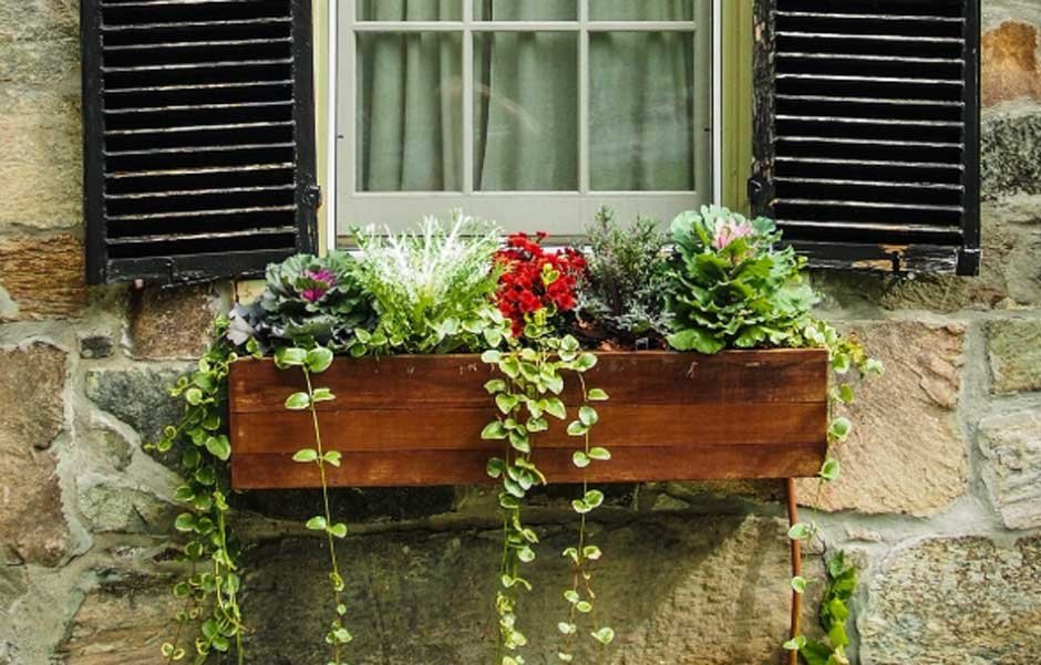 Keep Flower Boxes Fresh Without Waste
