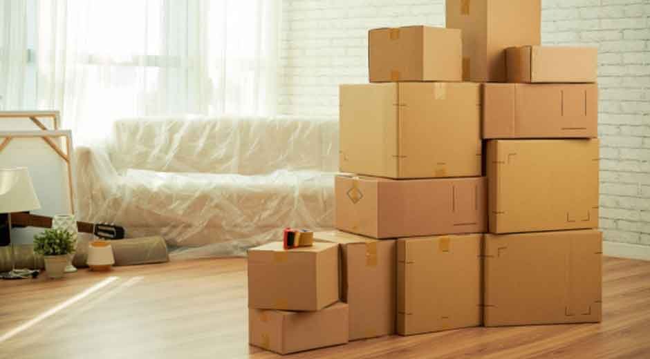 Moving Into Your First Home: Eco-Friendly Tips for New Homeowners on a Budget