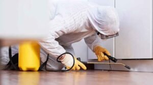 Pest Services: Effective Solutions for a Pest-Free Home