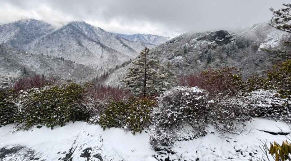 Seasonal Travel Guide: What to Expect in Gatlinburg Each Season