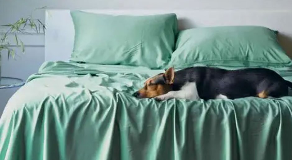 The Best Bedding Choice for Sensitive Skin and Allergies: Bamboo Explained