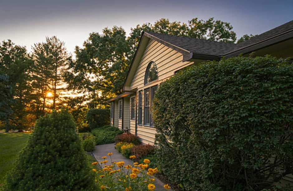 Why Tree Pruning is Essential for Safety and Curb Appeal