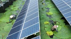 Dreamy Reasons People Are Switching to Full Solar Power Systems