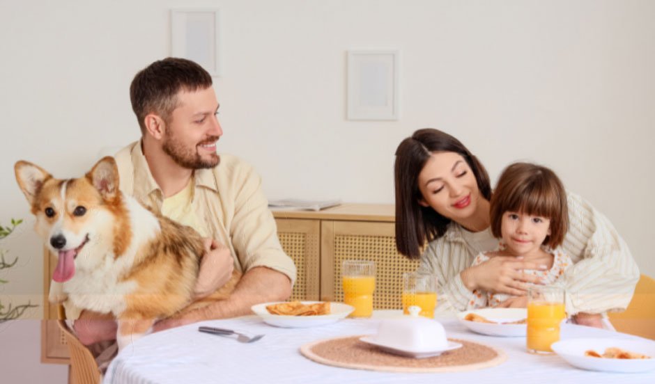 Family Meal Planning When You Have a Puppy in the House