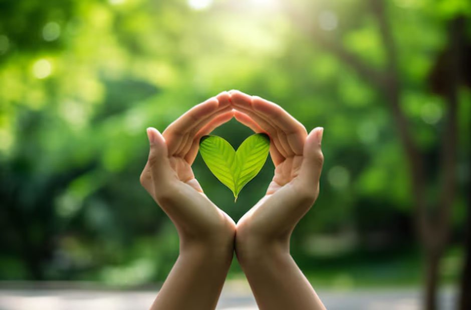 How Mental Wellness and a Green Lifestyle Go Hand in Hand