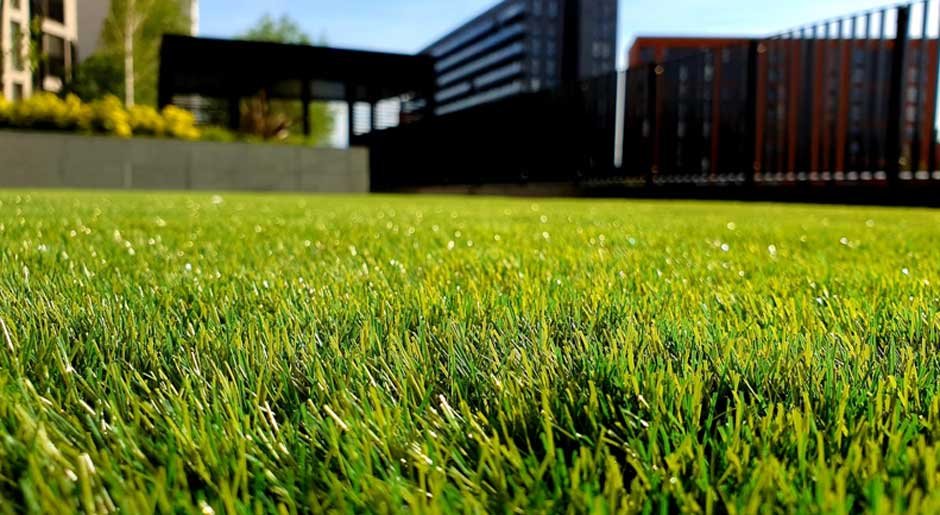 How Sustainable Landscaping Transforms Your Home and the Planet