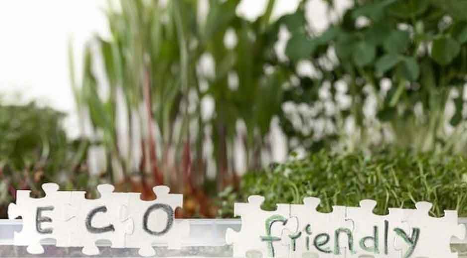 Planetary Thinking Reshapes Learning