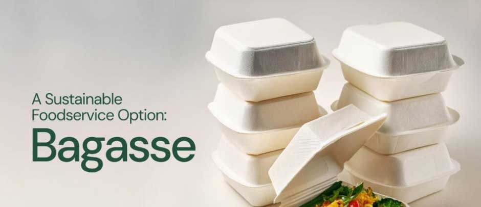 Why Bagasse is the Future of Food Service Packaging