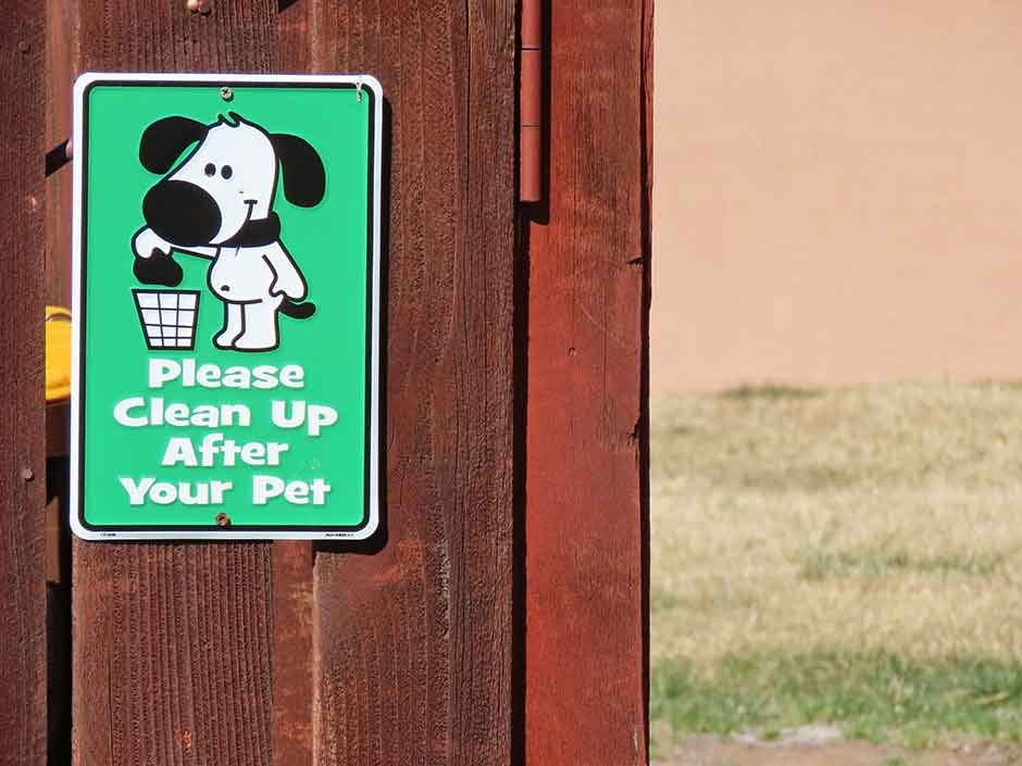 Sustainable Pet Essentials: Building a Low-Waste Routine for Your Furry Friends