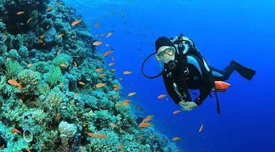 Exploring-the-Underwater-Wonders-of-Maldives-Diving