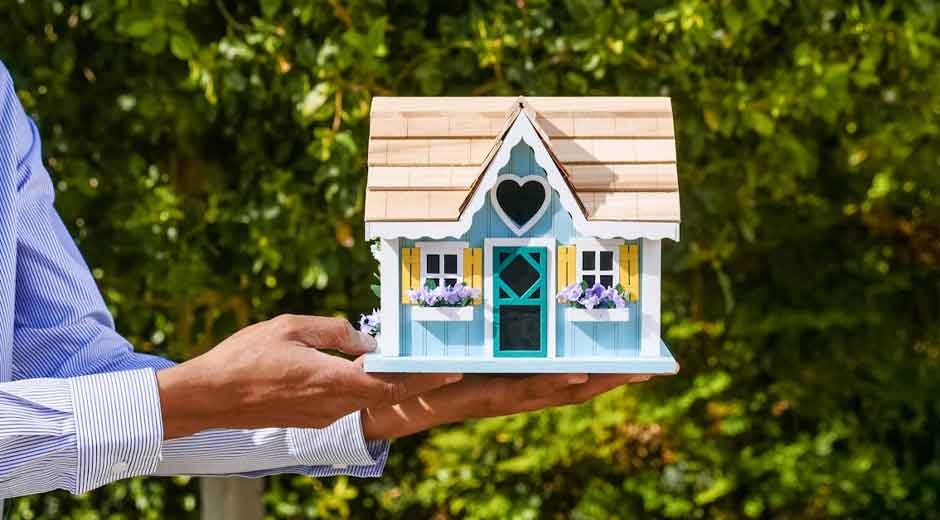 Garden Plants That Shape Seasonal Outdoor Design