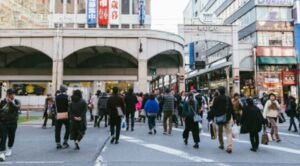 How-Cross-Cultural-Skills-Shape-the-Future-of-International-Business