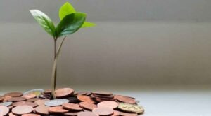 How to Create a Budget that Supports Eco-Friendly Lifestyle Choices