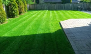 Professional Lawn Installation, Sod Services, Artificial Turf, and Irrigation Systems