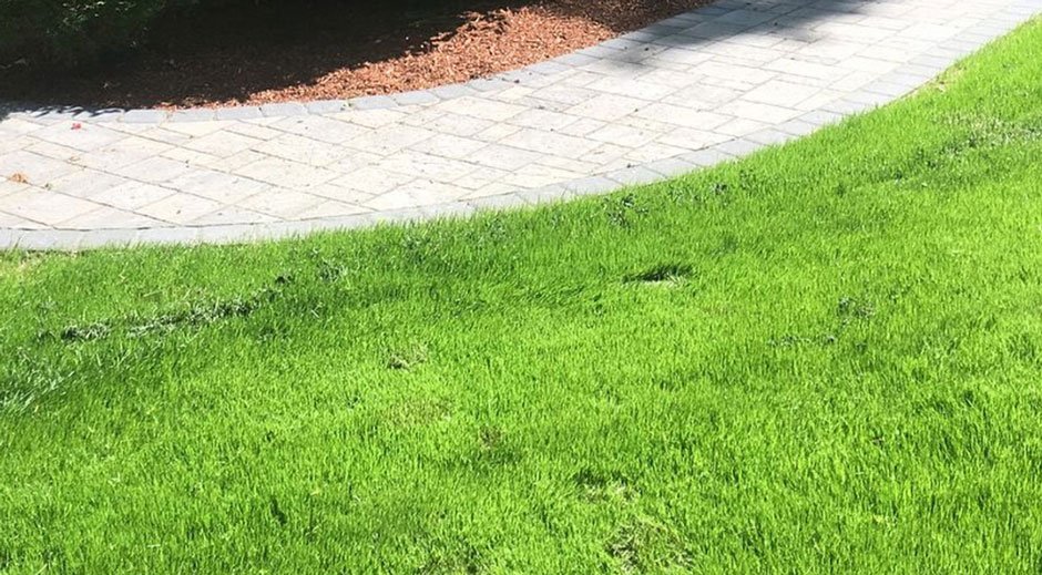 Professional Lawn Installation, Sod Services, Artificial Turf, and Irrigation Systems