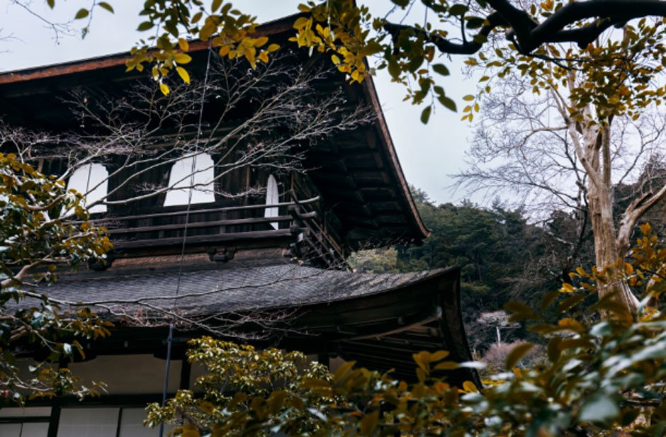 The Rise Of Luxury Eco-Lodges