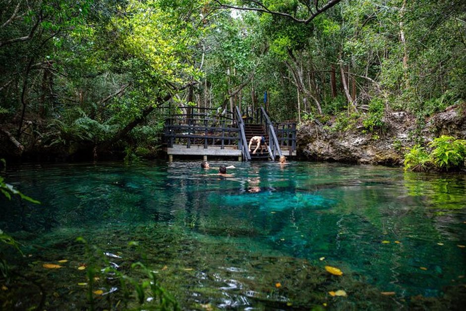 Top Nature-Focused Excursions in Punta Cana for an Authentic Green Experience