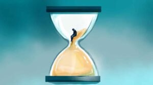 Why Structural Longevity Starts Where You Least Expect It