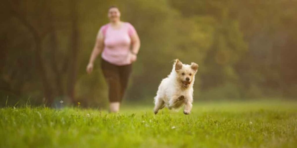 10-Must-Know-Basics-For-Every-Pet-Owner