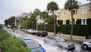 Charleston Water Damage: Why Local Expertise Matters for Lowcountry Homeowners