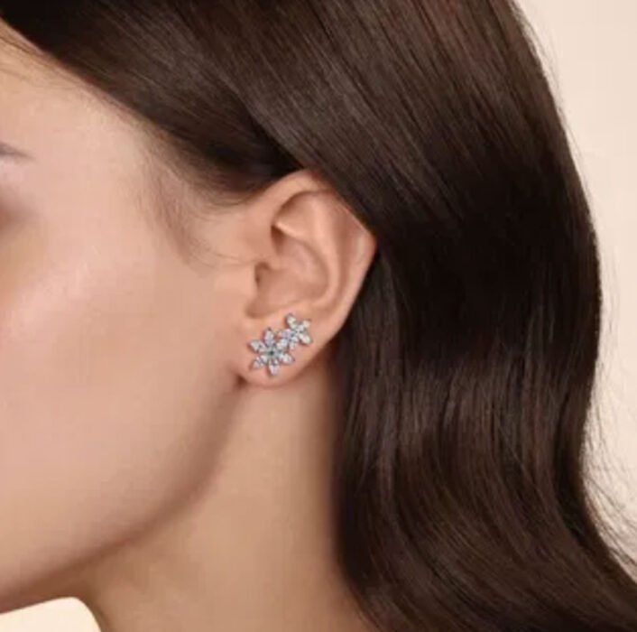 Ear Climbers Earrings