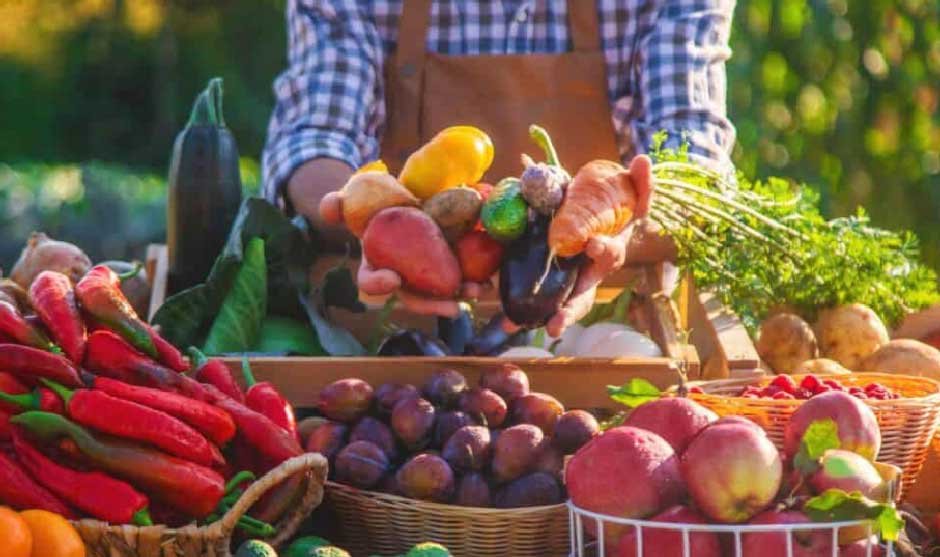 Eating with the Seasons